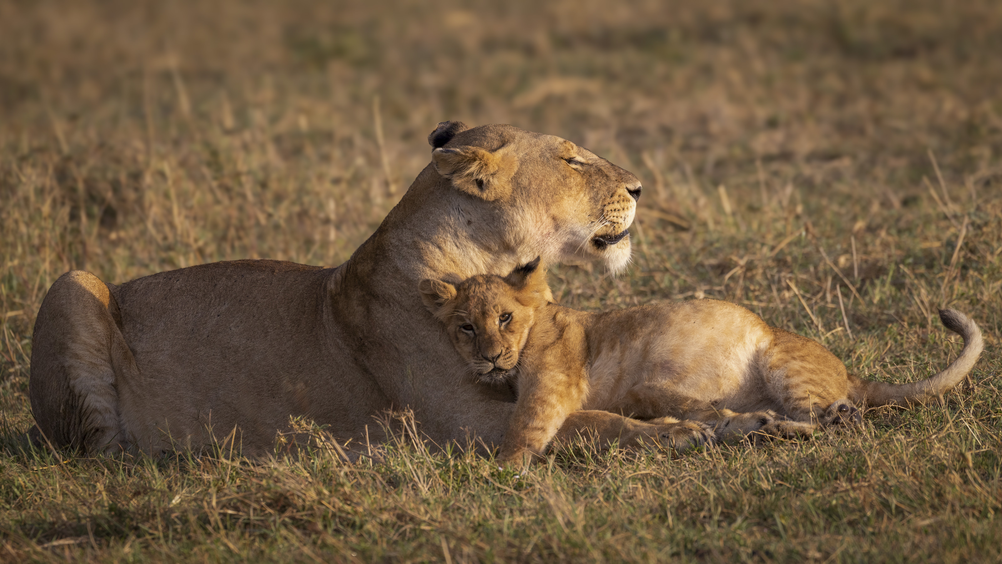 November 10, 2022-064735-Edit-Edit.jpg